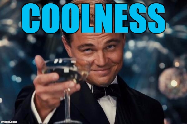 Leonardo Dicaprio Cheers Meme | COOLNESS | image tagged in memes,leonardo dicaprio cheers | made w/ Imgflip meme maker