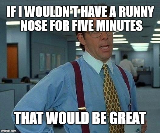 That Would Be Great Meme | IF I WOULDN'T HAVE A RUNNY NOSE FOR FIVE MINUTES; THAT WOULD BE GREAT | image tagged in memes,that would be great | made w/ Imgflip meme maker