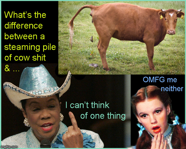The Cow Sh*t makes good fertilizer at least | image tagged in frederica wilson,current events,politics lol,funny memes,front page,lol so funny | made w/ Imgflip meme maker