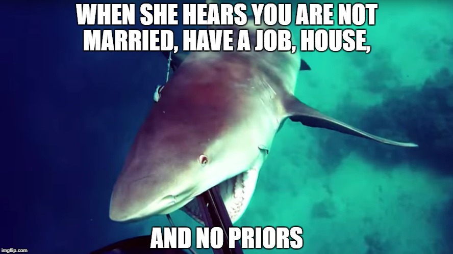 Shark Suck | WHEN SHE HEARS YOU ARE NOT MARRIED, HAVE A JOB, HOUSE, AND NO PRIORS | image tagged in married,girlfriend,sucks | made w/ Imgflip meme maker