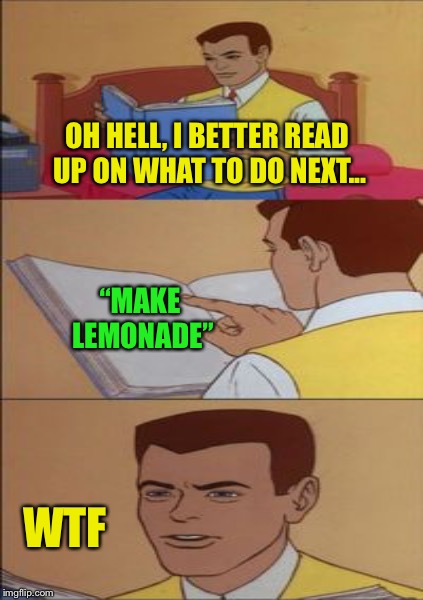 OH HELL, I BETTER READ UP ON WHAT TO DO NEXT... “MAKE LEMONADE” WTF | made w/ Imgflip meme maker