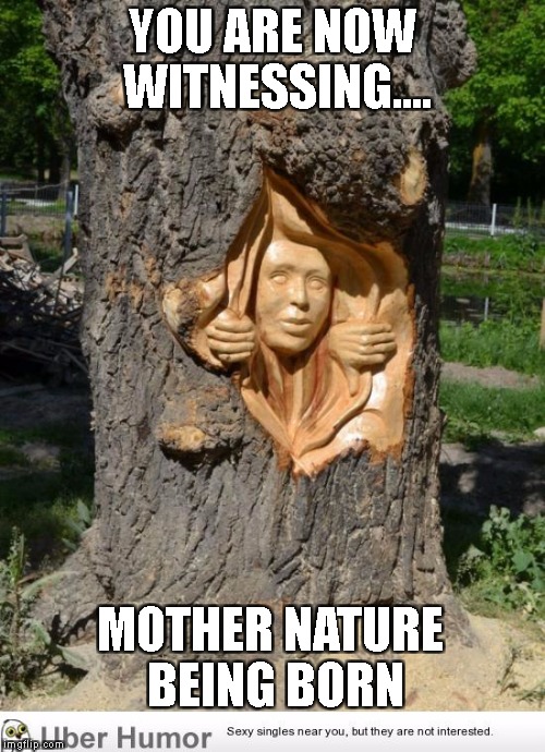 How The World Began | YOU ARE NOW WITNESSING.... MOTHER NATURE BEING BORN | image tagged in in real life | made w/ Imgflip meme maker