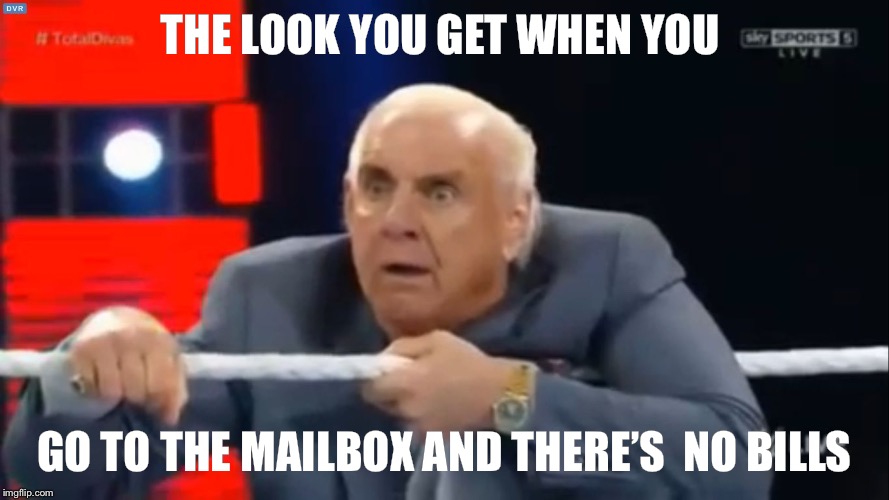 ric flair | THE LOOK YOU GET WHEN YOU; GO TO THE MAILBOX AND THERE’S 
NO BILLS | image tagged in ric flair | made w/ Imgflip meme maker