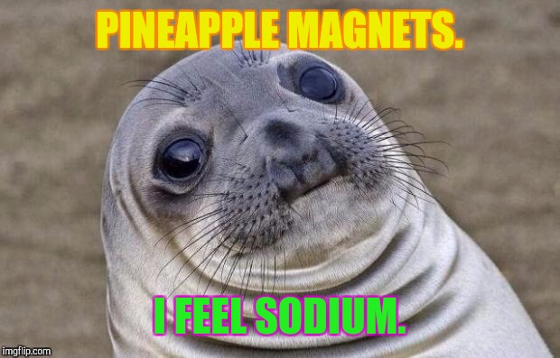 Awkward Moment Sealion | PINEAPPLE MAGNETS. I FEEL SODIUM. | image tagged in memes,awkward moment sealion | made w/ Imgflip meme maker
