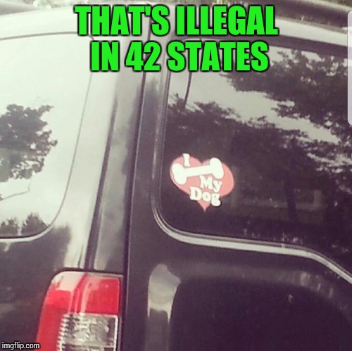 I bone my dog? | THAT'S ILLEGAL IN 42 STATES | image tagged in pipe_picasso,dogs | made w/ Imgflip meme maker