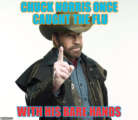It was a pretty good catch too |  CHUCK NORRIS ONCE CAUGHT THE FLU; WITH HIS BARE HANDS | image tagged in memes,chuck norris,dank memes,funny,bad puns,facts | made w/ Imgflip meme maker