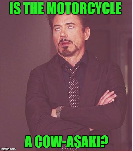 Face You Make Robert Downey Jr Meme | IS THE MOTORCYCLE A COW-ASAKI? | image tagged in memes,face you make robert downey jr | made w/ Imgflip meme maker