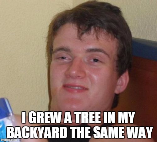 10 Guy Meme | I GREW A TREE IN MY BACKYARD THE SAME WAY | image tagged in memes,10 guy | made w/ Imgflip meme maker