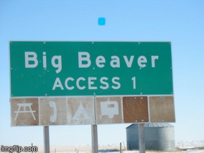 Big Beaver Access | . | image tagged in beaver,loyalsockatxhamster,funny signs,road signs,funny road signs | made w/ Imgflip meme maker