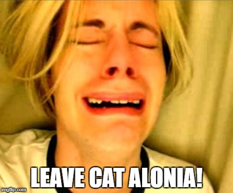 Can't we all just get along? | LEAVE CAT ALONIA! | made w/ Imgflip meme maker