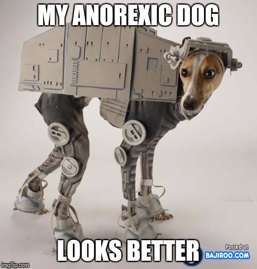 MY ANOREXIC DOG LOOKS BETTER | made w/ Imgflip meme maker
