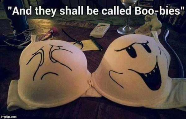 Creative Bra Time | "AND THEY SHALL BE CALLED BOO-BIES" | image tagged in memes,funny,boo,bra | made w/ Imgflip meme maker