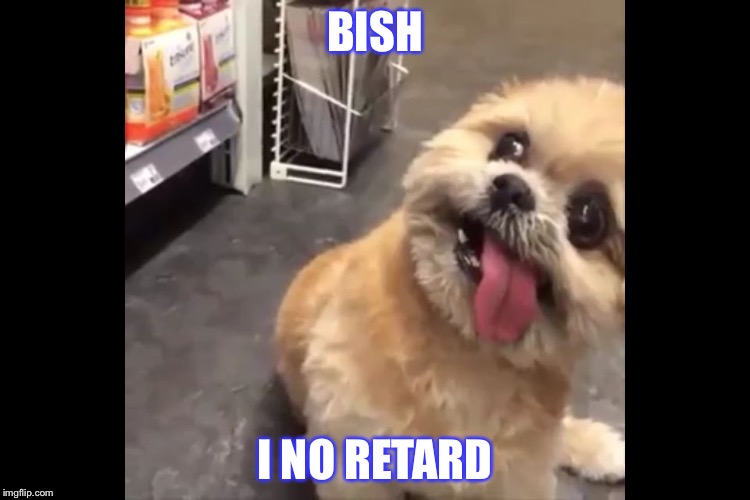 BISH; I NO RETARD | image tagged in dog retard | made w/ Imgflip meme maker