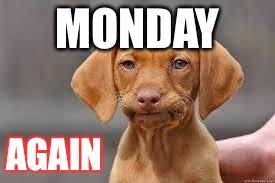 Disappointed Dog | MONDAY; AGAIN | image tagged in disappointed dog,mondays | made w/ Imgflip meme maker