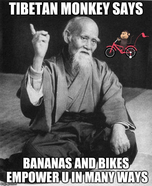 Confucius say | TIBETAN MONKEY SAYS; BANANAS AND BIKES EMPOWER U IN MANY WAYS | image tagged in confucius say | made w/ Imgflip meme maker