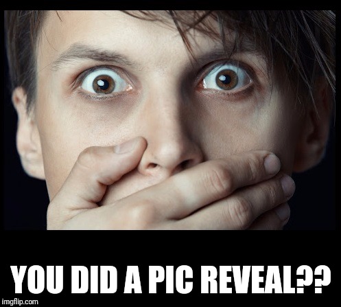 oh my | YOU DID A PIC REVEAL?? | image tagged in oh my | made w/ Imgflip meme maker