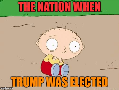 Yet Another Trump Meme | THE NATION WHEN; TRUMP WAS ELECTED | image tagged in family guy,stewie griffin,trump,2016 election,scared | made w/ Imgflip meme maker