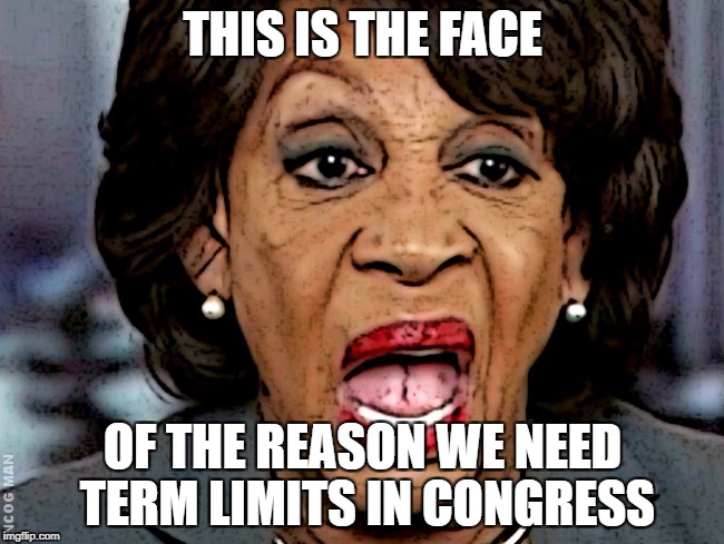 THIS IS THE FACE; OF THE REASON WE NEED TERM LIMITS IN CONGRESS | image tagged in maxine waters,insane,libtard,government corruption,stupid liberals | made w/ Imgflip meme maker