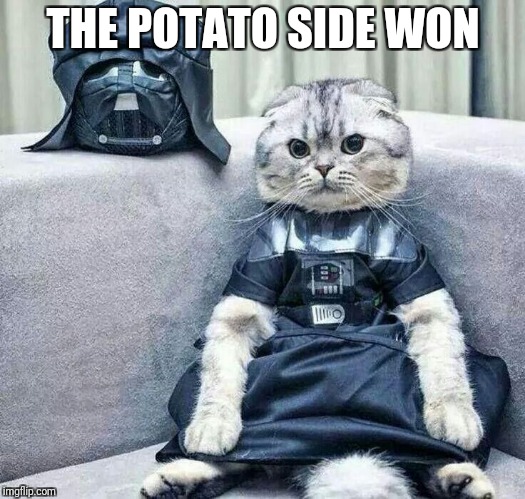Darth Cat | THE POTATO SIDE WON | image tagged in darth cat | made w/ Imgflip meme maker