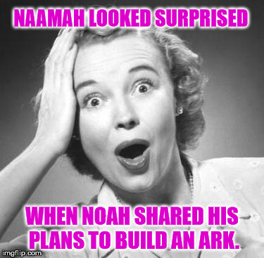surprised woman | NAAMAH LOOKED SURPRISED; WHEN NOAH SHARED HIS PLANS TO BUILD AN ARK. | image tagged in surprised woman | made w/ Imgflip meme maker