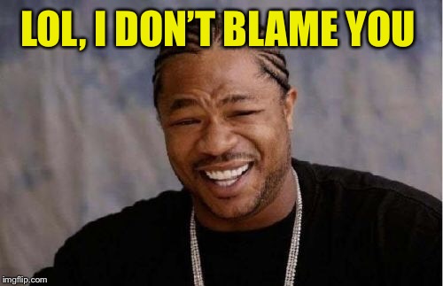 Yo Dawg Heard You Meme | LOL, I DON’T BLAME YOU | image tagged in memes,yo dawg heard you | made w/ Imgflip meme maker