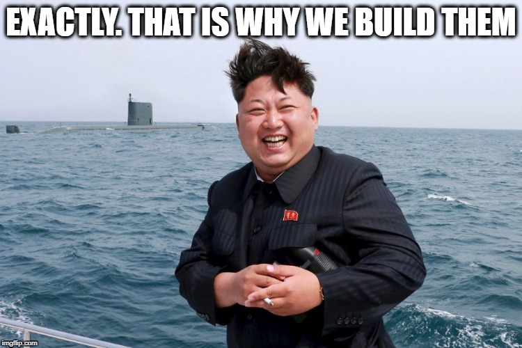 Kim with Sub | EXACTLY. THAT IS WHY WE BUILD THEM | image tagged in kim with sub | made w/ Imgflip meme maker