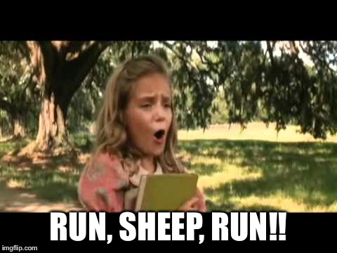 RUN, SHEEP, RUN!! | made w/ Imgflip meme maker