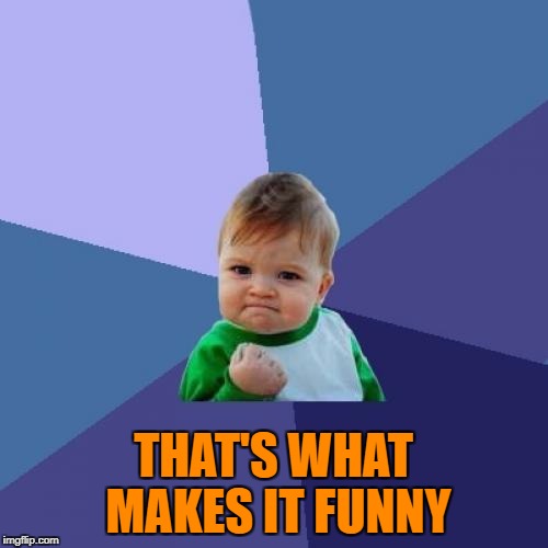 Success Kid Meme | THAT'S WHAT MAKES IT FUNNY | image tagged in memes,success kid | made w/ Imgflip meme maker