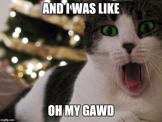 AND I WAS LIKE; OH MY GAWD | image tagged in surprised cat | made w/ Imgflip meme maker