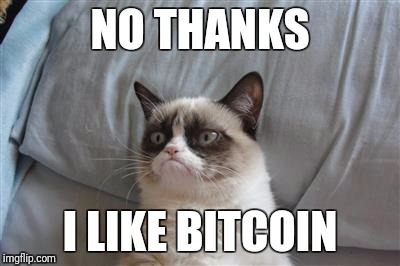 NO THANKS; I LIKE BITCOIN | image tagged in grumpy cat | made w/ Imgflip meme maker