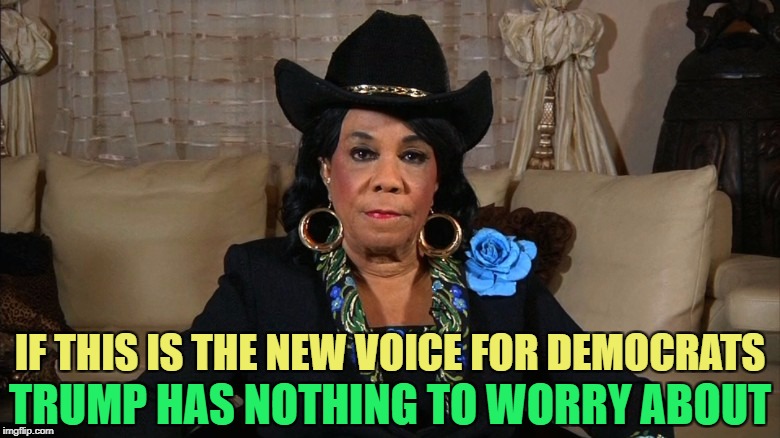 Dems now scraping the bottom of the barrel | TRUMP HAS NOTHING TO WORRY ABOUT; IF THIS IS THE NEW VOICE FOR DEMOCRATS | image tagged in memes,political meme,donald trump,political humor | made w/ Imgflip meme maker