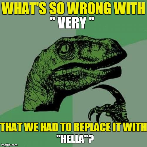 Philosoraptor Meme | WHAT'S SO WRONG WITH ''HELLA''? '' VERY '' THAT WE HAD TO REPLACE IT WITH | image tagged in memes,philosoraptor | made w/ Imgflip meme maker