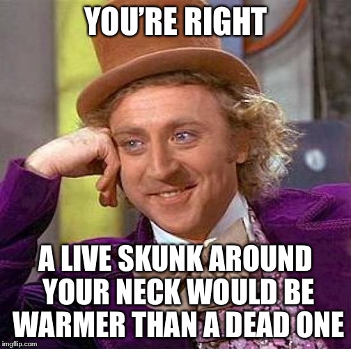 Creepy Condescending Wonka Meme | YOU’RE RIGHT A LIVE SKUNK AROUND YOUR NECK WOULD BE WARMER THAN A DEAD ONE | image tagged in memes,creepy condescending wonka | made w/ Imgflip meme maker