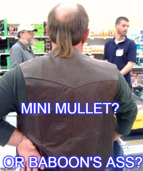 ha ha | MINI MULLET? OR BABOON'S ASS? | image tagged in baboon's ass,mullet | made w/ Imgflip meme maker