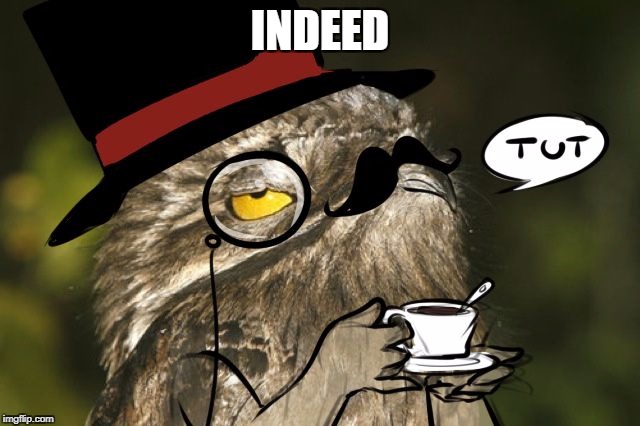 Sir Potoo is not amused | INDEED | image tagged in sir potoo is not amused | made w/ Imgflip meme maker