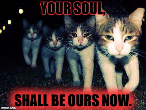 You'd Better Watch Out 'vv' | YOUR SOUL, SHALL BE OURS NOW. | image tagged in memes,wrong neighboorhood cats,soul | made w/ Imgflip meme maker