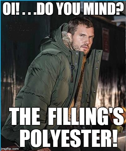 OI! . . .DO YOU MIND? THE  FILLING'S POLYESTER! | made w/ Imgflip meme maker