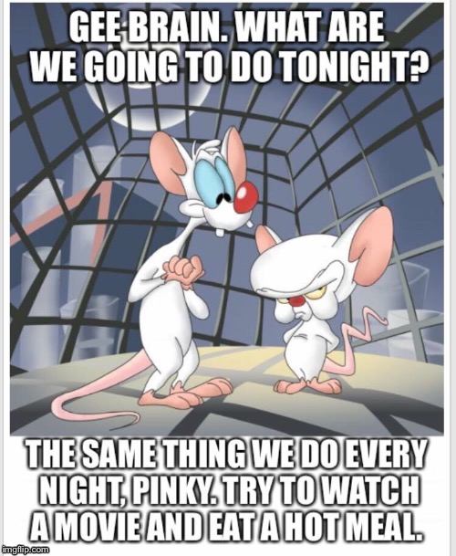 image tagged in rats,no,yoda stop,yeah mice,crime,omg | made w/ Imgflip meme maker