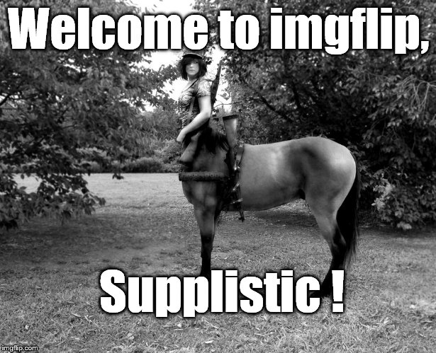 Centaur Soldier | Welcome to imgflip, Supplistic ! | image tagged in centaur soldier | made w/ Imgflip meme maker