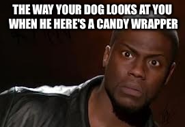 Kevin Hart | THE WAY YOUR DOG LOOKS AT YOU WHEN HE HERE'S A CANDY WRAPPER | image tagged in memes,kevin hart the hell | made w/ Imgflip meme maker
