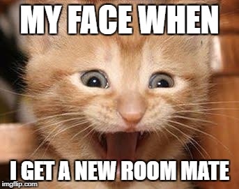 Excited Cat | MY FACE WHEN; I GET A NEW ROOM MATE | image tagged in memes,excited cat | made w/ Imgflip meme maker