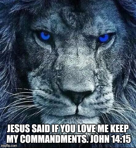 detroit lions | JESUS SAID IF YOU LOVE ME KEEP MY COMMANDMENTS. JOHN 14:15 | image tagged in detroit lions | made w/ Imgflip meme maker