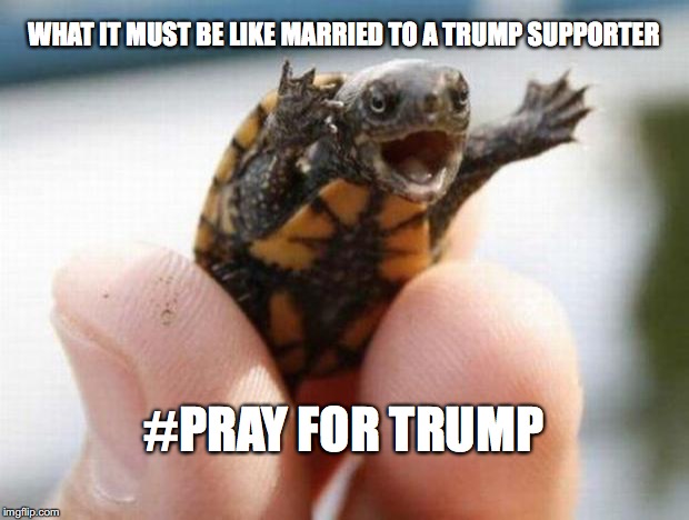 happy baby turtle | WHAT IT MUST BE LIKE MARRIED TO A TRUMP SUPPORTER; #PRAY FOR TRUMP | image tagged in happy baby turtle | made w/ Imgflip meme maker