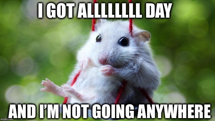 I GOT ALLLLLLLL DAY AND I’M NOT GOING ANYWHERE | made w/ Imgflip meme maker