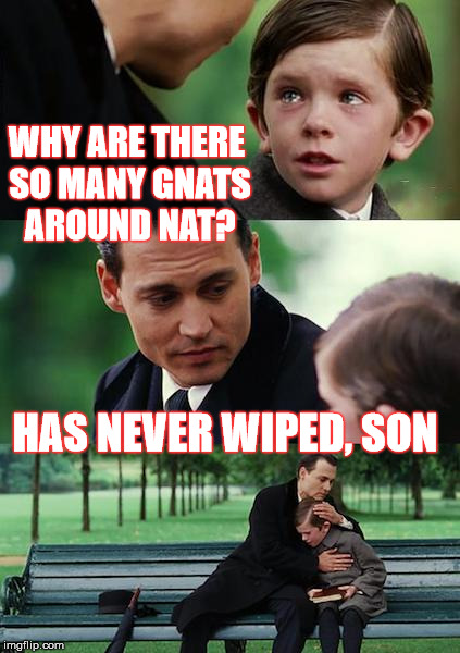 Swarming Trolling Gnats  | WHY ARE THERE SO MANY GNATS AROUND NAT? HAS NEVER WIPED, SON | image tagged in memes,racist,sick,mental illness,bully | made w/ Imgflip meme maker
