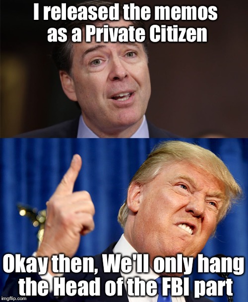 Treason | I released the memos as a Private Citizen; Okay then, We'll only hang the Head of the FBI part | image tagged in treason | made w/ Imgflip meme maker