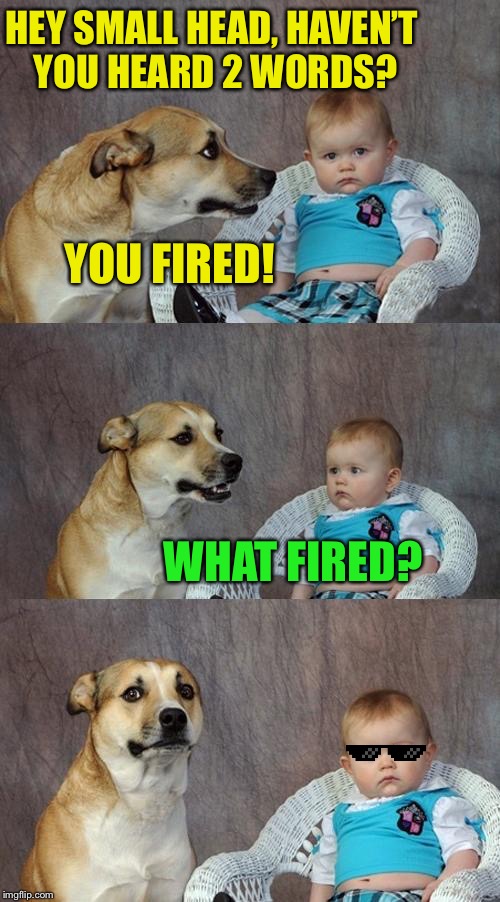 Dad Joke Dog Meme | HEY SMALL HEAD, HAVEN’T YOU HEARD 2 WORDS? YOU FIRED! WHAT FIRED? | image tagged in memes,dad joke dog | made w/ Imgflip meme maker