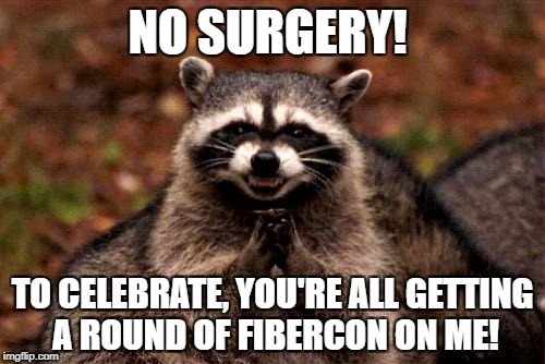 Evil Plotting Raccoon Meme | NO SURGERY! TO CELEBRATE, YOU'RE ALL GETTING A ROUND OF FIBERCON ON ME! | image tagged in memes,evil plotting raccoon | made w/ Imgflip meme maker
