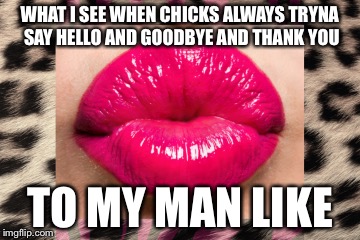 WHAT I SEE WHEN CHICKS ALWAYS TRYNA SAY HELLO AND GOODBYE AND THANK YOU; TO MY MAN LIKE | image tagged in duck face chicks | made w/ Imgflip meme maker