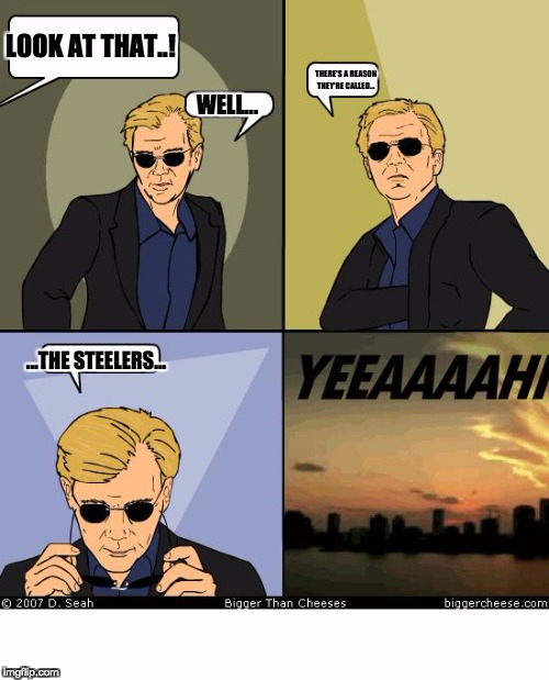 Horatio Caine | LOOK AT THAT..! THERE'S A REASON THEY'RE CALLED... WELL... ...THE STEELERS... | image tagged in horatio caine | made w/ Imgflip meme maker